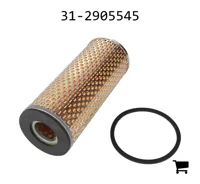 AGCO 31-2905545 Фильтрующий элемент