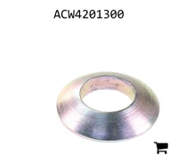 AGCO ACW4201300 Шайба