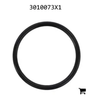 AGCO 3010073X1 Уплотнительное кольцо