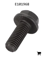 AGCO E101968 Болт