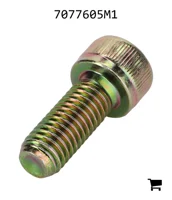 AGCO 7077605M1 Болт