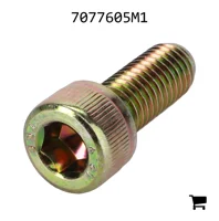 AGCO 7077605M1 Болт