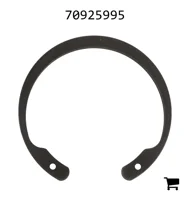 AGCO 70925995 Кольцо