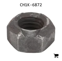 AGCO CH1K-6872 Стопорная гайка