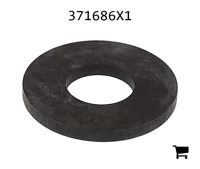 AGCO 371686X1 Шайба