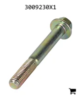 AGCO 3009230X1 Болт с шестигранной головкой и фланцем
