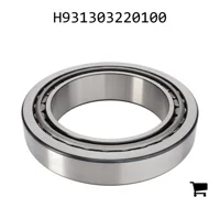 AGCO H931303220100 Конический роликовый подшипник