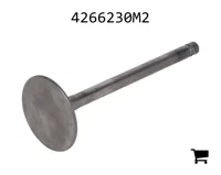 AGCO 4266230M2 Впускной клапан