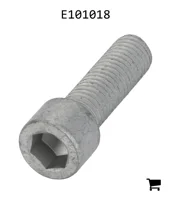 AGCO E101018 Болт