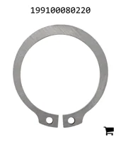 AGCO 199100080220 Стопорное кольцо