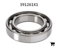 AGCO 391261X1 Цилиндрический шариковый подшипник