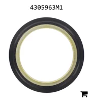 AGCO 4305963M1 Сальник бортовой передачи