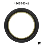 AGCO 4305963M1 Сальник бортовой передачи