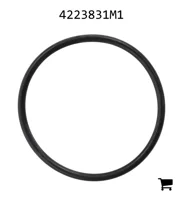 AGCO 4223831M1 Уплотнительное кольцо