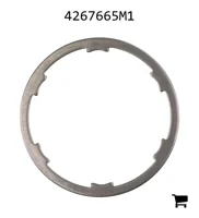 AGCO 4267665M1 Диск тормозного давления