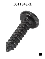 AGCO 3011840X1 Винт