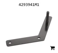 AGCO 4293941M1 Фланец кронштейна