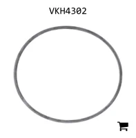 AGCO VKH4302 Уплотнительное кольцо