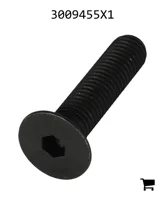 AGCO 3009455X1 Винт с плоской головкой и внутренним шестигранником