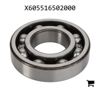 AGCO X605516502000 Радиальный шарикоподшипник