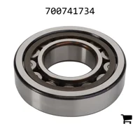 AGCO 700741734 Подшипник