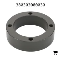 AGCO 380303080030 Кольцо