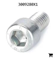 AGCO 3009280X1 Винт с цилиндрической головкой и шестигранным углублением