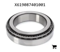 AGCO X619087401001 Конический роликовый подшипник