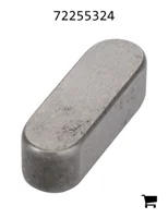 AGCO 72255324 Шпонка