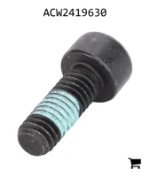 AGCO ACW2419630 Винт Torx