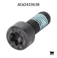 AGCO ACW2419630 Винт Torx