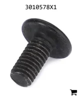 AGCO 3010578X1 Винт с цилиндрической головкой