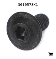 AGCO 3010578X1 Винт с цилиндрической головкой