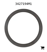 AGCO 3427194M1 Шайба