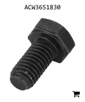 AGCO ACW3651830 Болт с шестигранной головкой