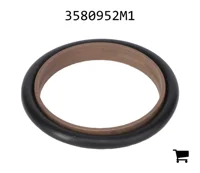 AGCO 3580952M1 Прокладка