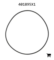 AGCO 401895X1 Уплотнительное кольцо