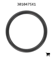 AGCO 3010475X1 Уплотнительное кольцо трубки кондиционера Ø 17,17 X 1,78 мм