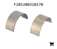 AGCO F285200310170 Шатунный вкладыш