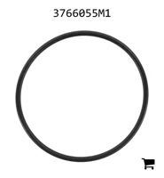 AGCO 3766055M1 Уплотнительное кольцо