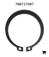 AGCO 700737407 Кольцо