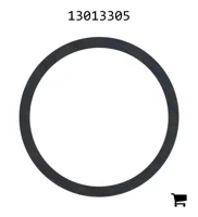 AGCO 13013305 Шайба