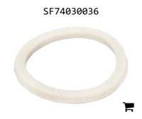 AGCO SF74030036 Войлок