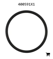 AGCO 400591X1 Уплотнение