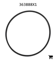 AGCO 363888X1 Уплотнительное кольцо