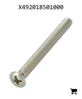 AGCO X492018501000 Винт с потайной головкой