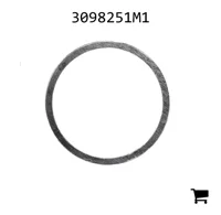 AGCO 3098251M1 Шайба