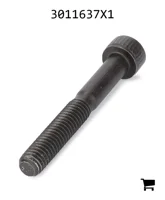 AGCO 3011637X1 Винт с цилиндрической головкой и шестигранным углублением