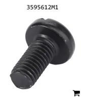 AGCO 3595612M1 Винт