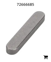 AGCO 72666685 Параллельный шпоночный паз